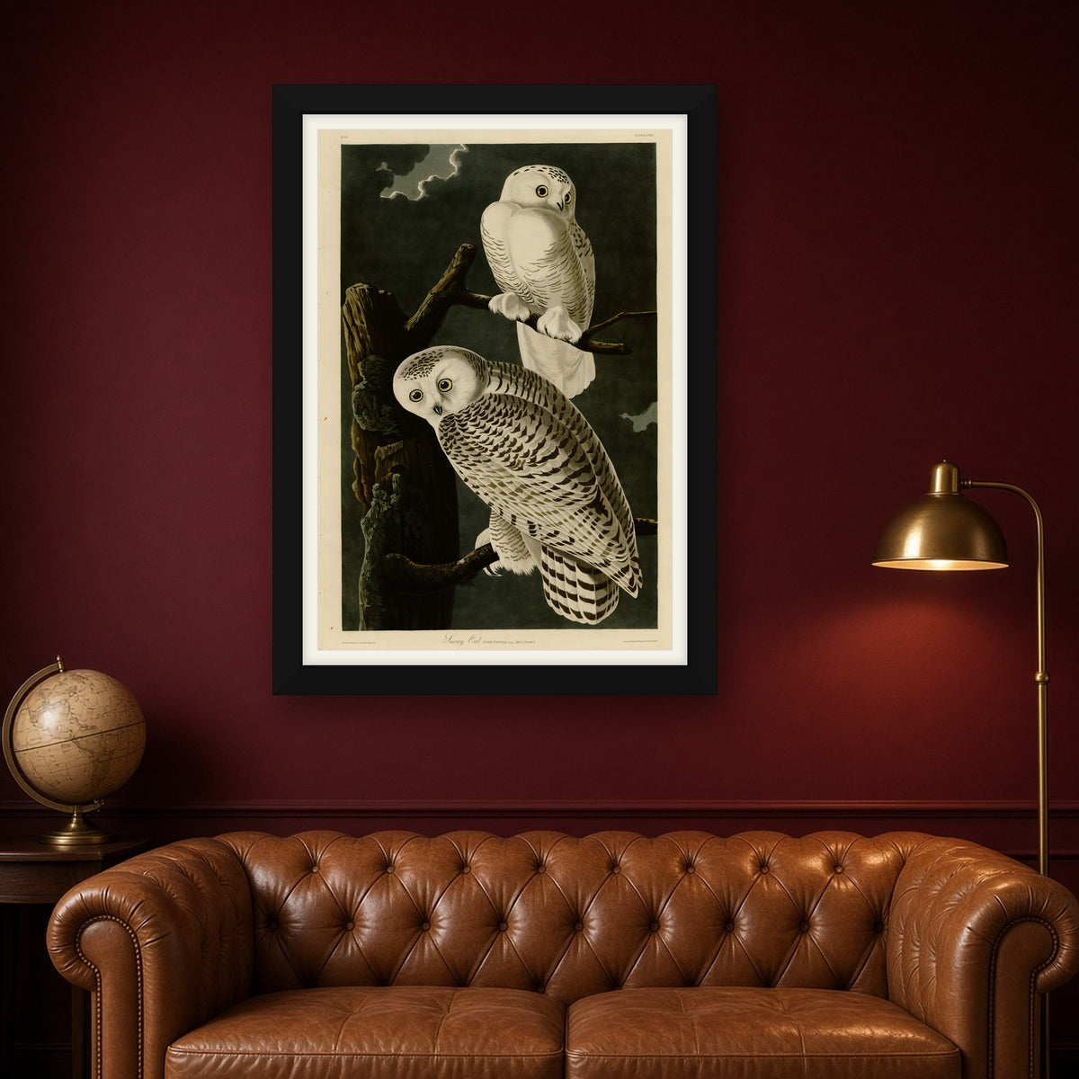 Snowy Owl, Plate 121 from Birds of America by John James Audubon — framed art preview