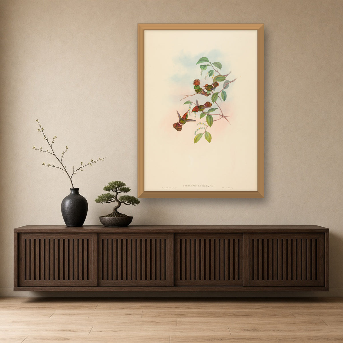 Spangled Coquette Hummingbird (Lophornis Reginae) from A Monograph of the Trochilidae by John Gould — framed art preview