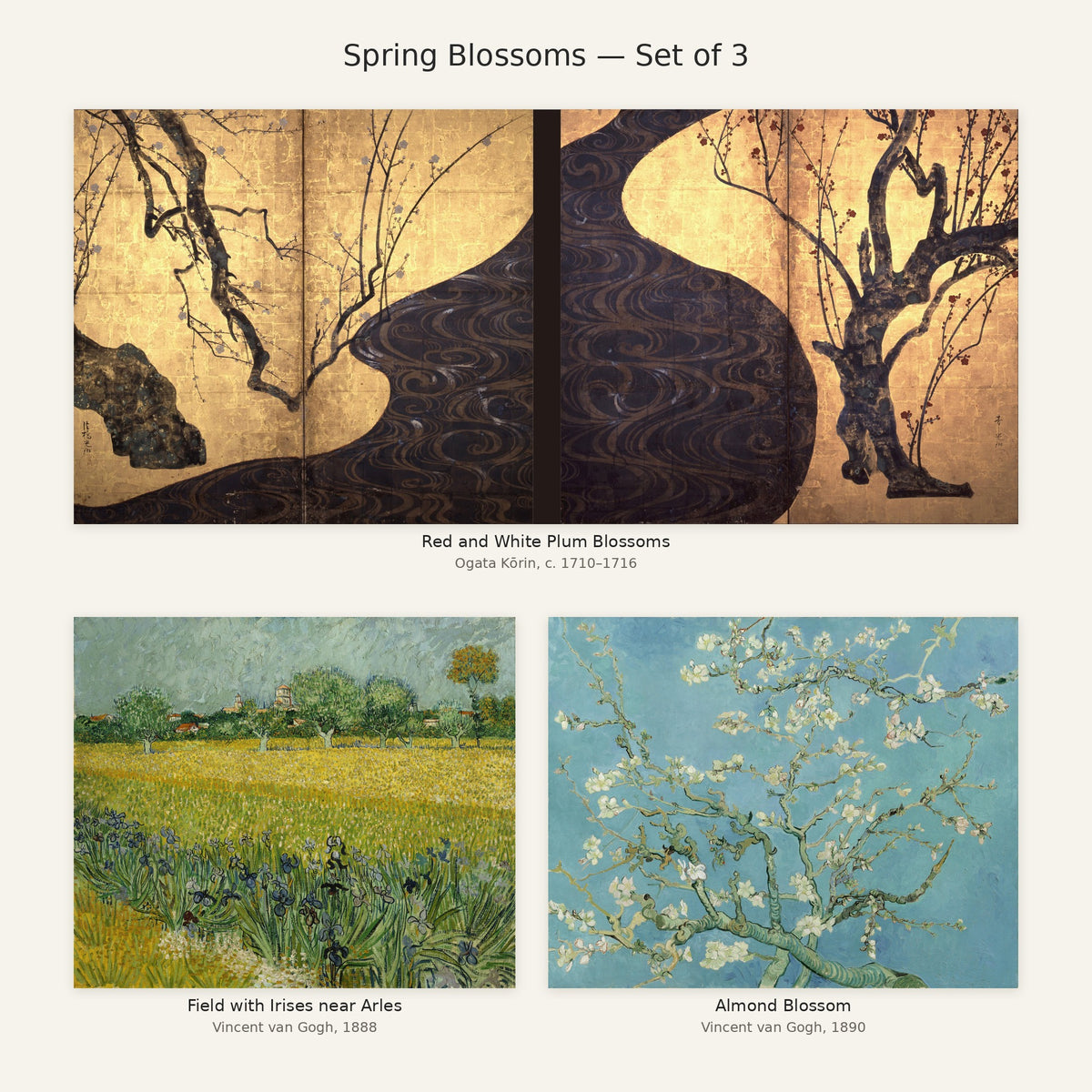 Spring Blossoms Gallery Wall Set of 3 — all paintings in the set
