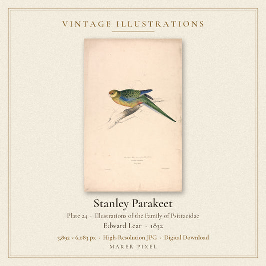 Stanley Parakeet, Plate 24 from Illustrations of the Family of Psittacidae by Edward Lear — cover