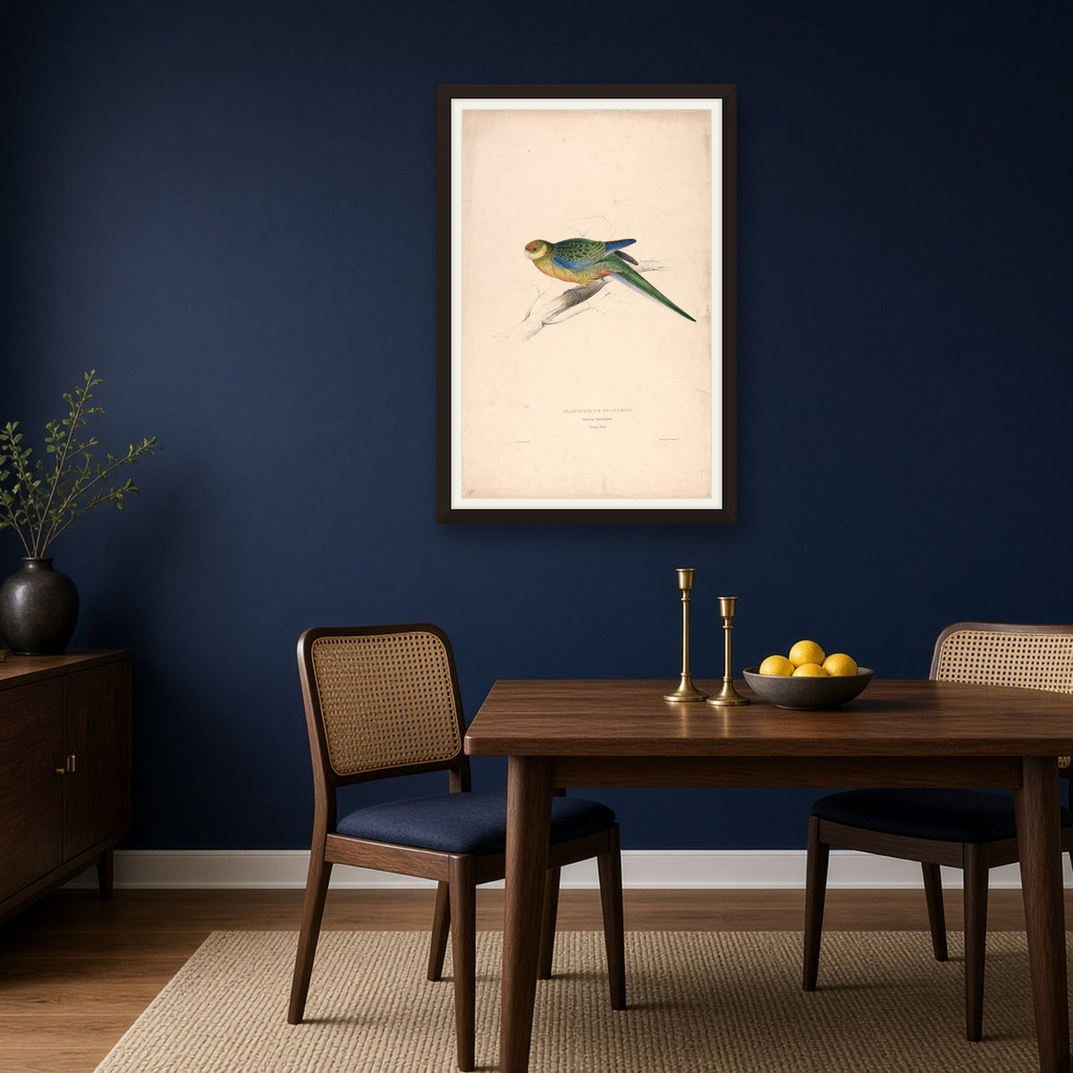 Stanley Parakeet, Plate 24 from Illustrations of the Family of Psittacidae by Edward Lear — framed art preview