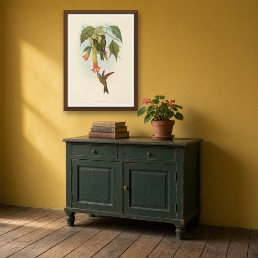 Sword-billed Hummingbird (Docimastes Ensiferus) from A Monograph of the Trochilidae by John Gould — room mockup