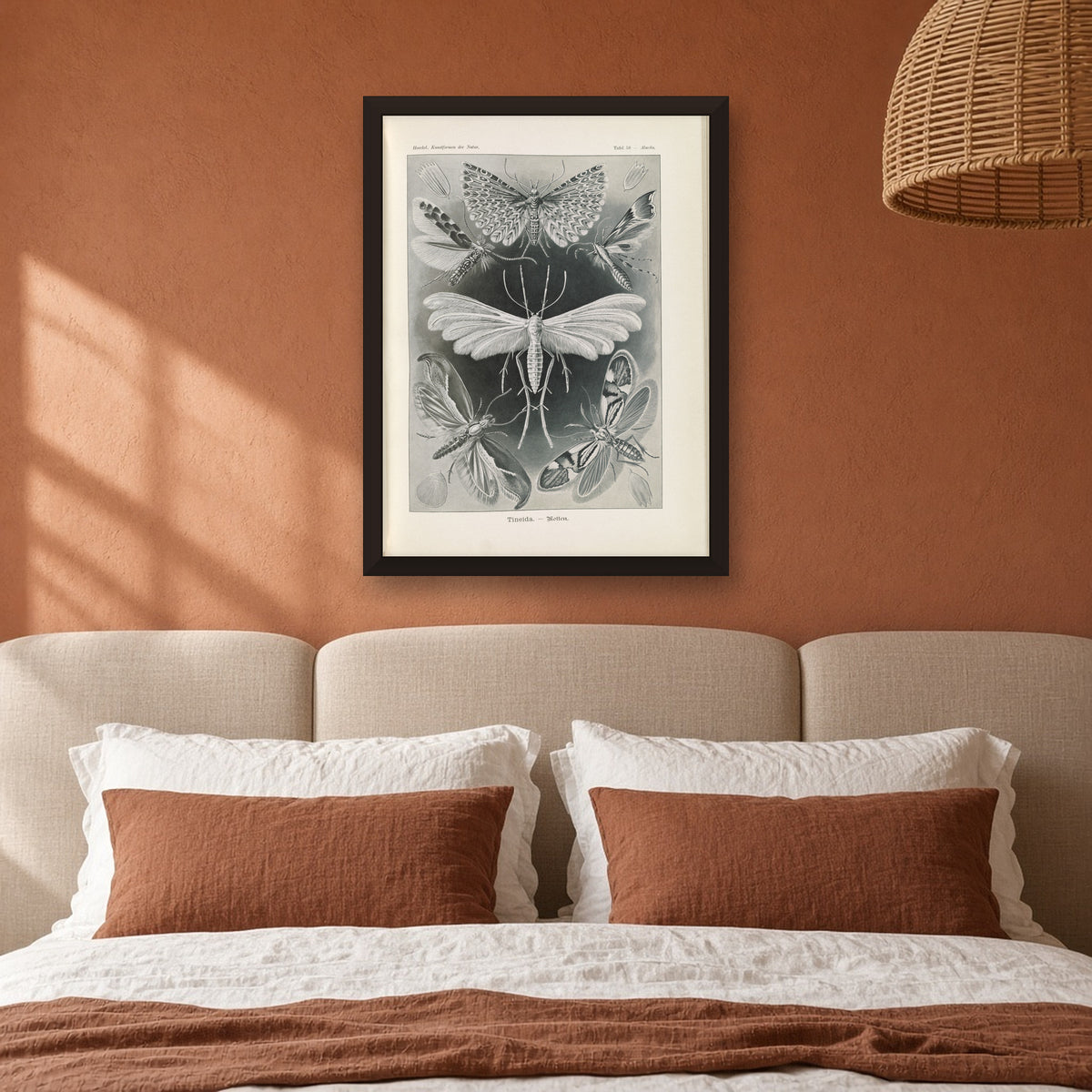 Tineida Moths, Plate 58 from Art Forms in Nature by Ernst Haeckel — room mockup
