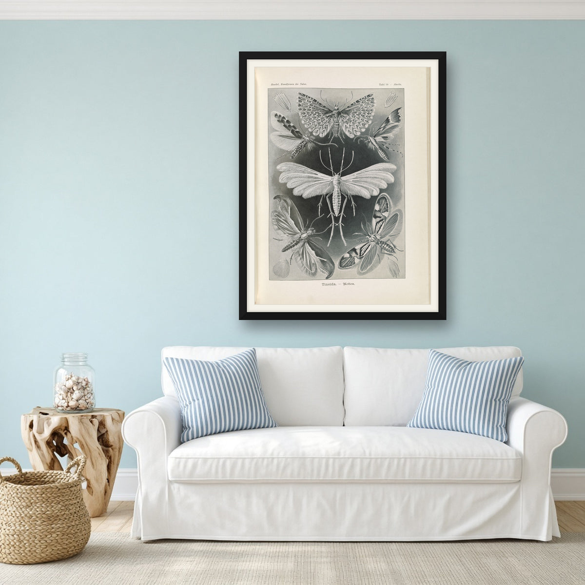 Tineida Moths, Plate 58 from Art Forms in Nature by Ernst Haeckel — framed art preview