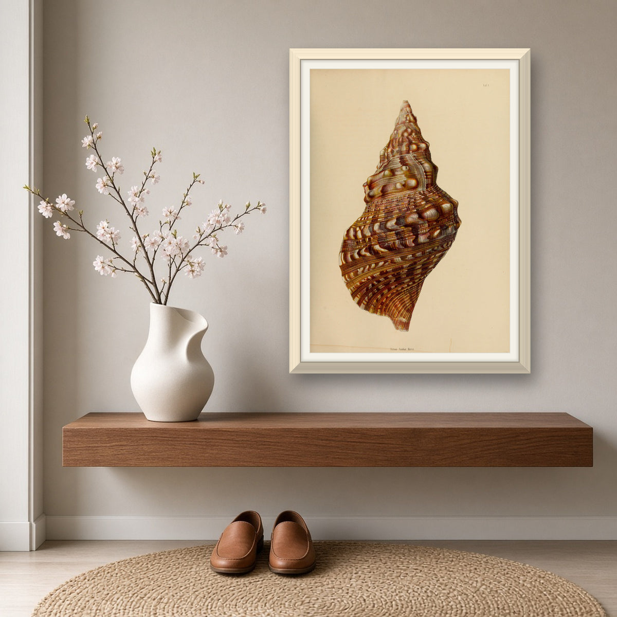 Triton Shell (Triton Sauliae), Plate 1 from Japanese Marine Shells by Carl Emil Lischke — room mockup