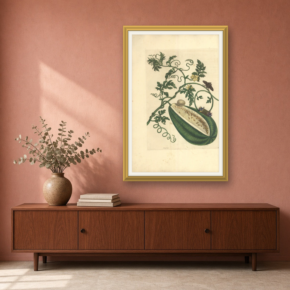 Watermelon with Moths, Plate 15 from Metamorphosis of the Insects of Surinam by Maria Sibylla Merian — framed art preview