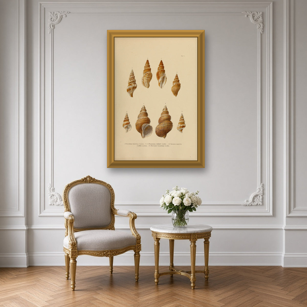 Whelks and Turrid Shells, Plate 1 from Japanese Marine Shells by Carl Emil Lischke — framed art preview