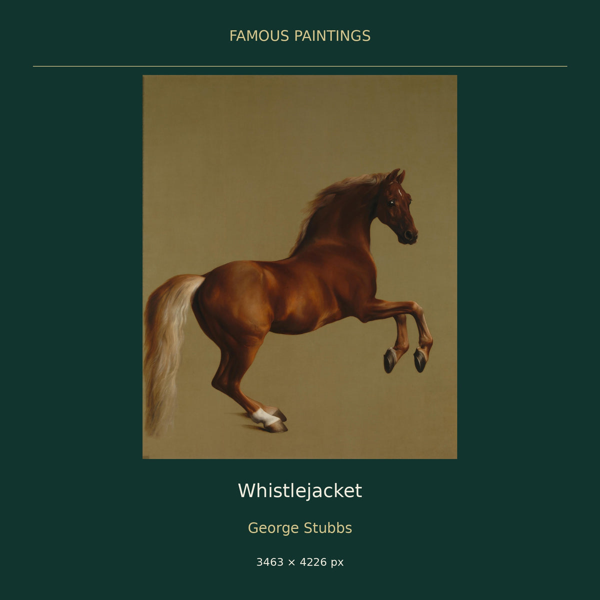 Whistlejacket by George Stubbs — cover