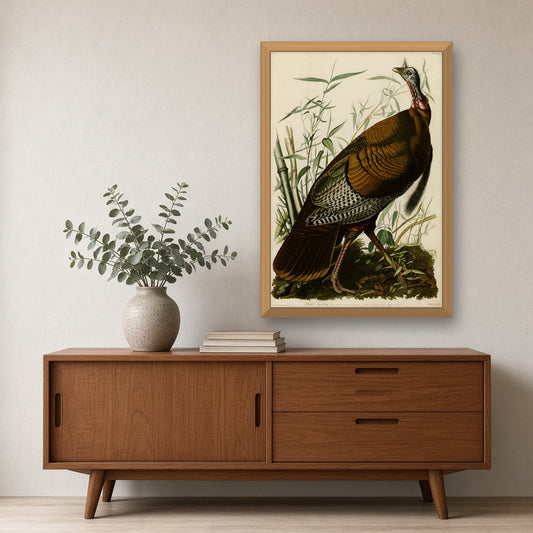 Wild Turkey, Plate 1 from Birds of America by John James Audubon — room mockup