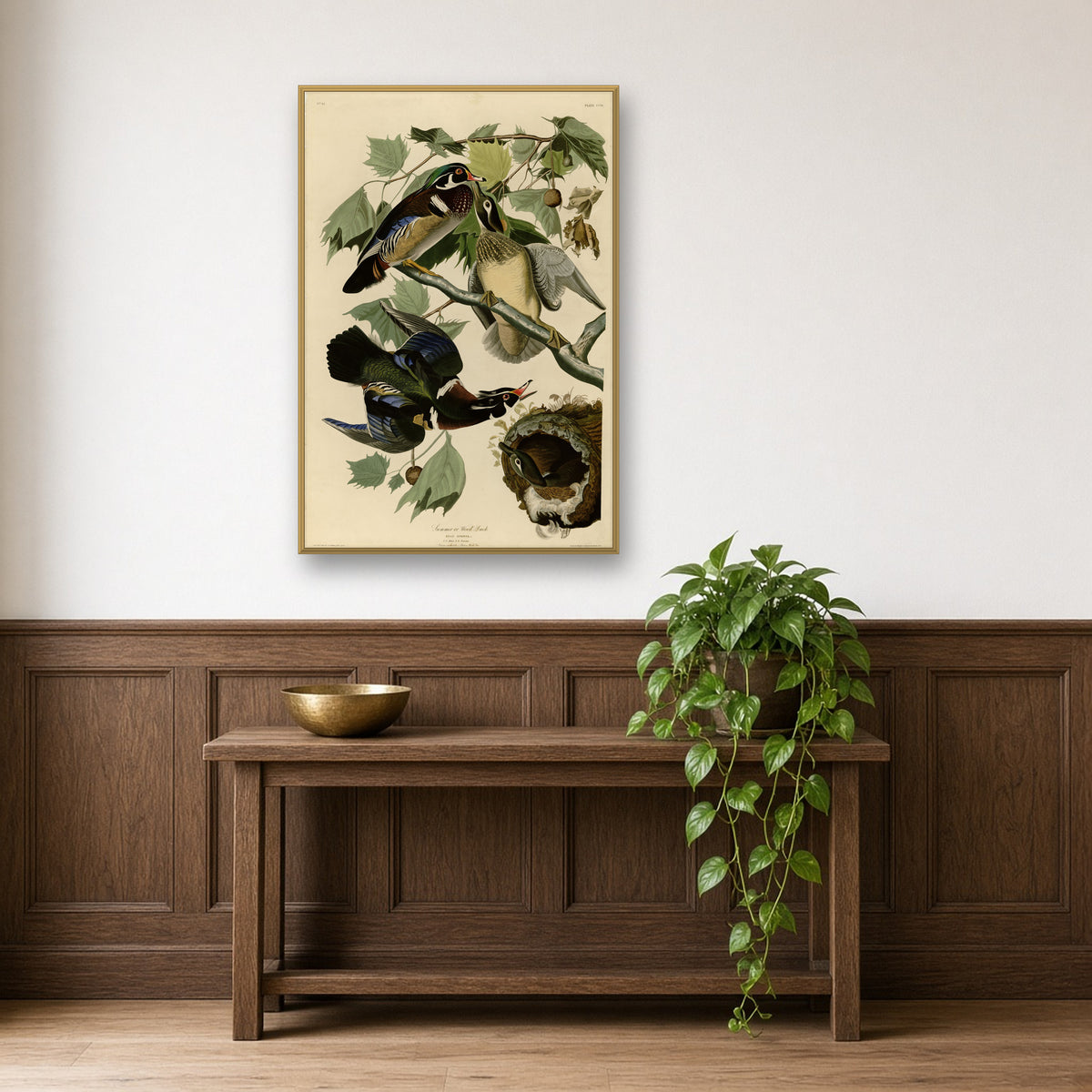 Summer or Wood Duck, Plate 206 from Birds of America by John James Audubon — room mockup