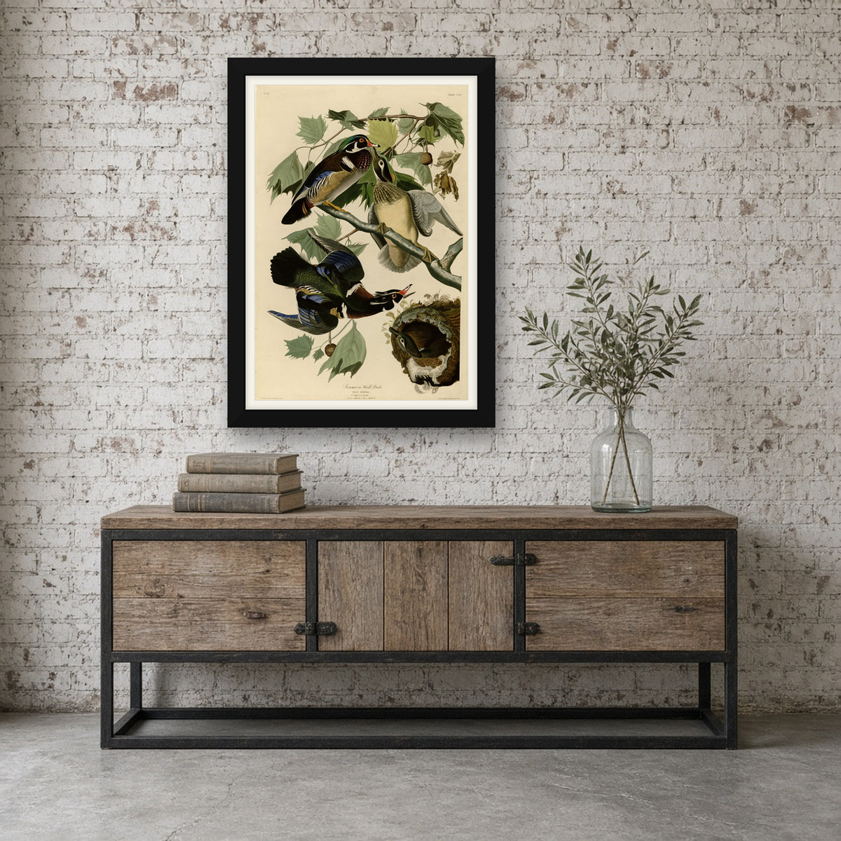 Summer or Wood Duck, Plate 206 from Birds of America by John James Audubon — framed art preview