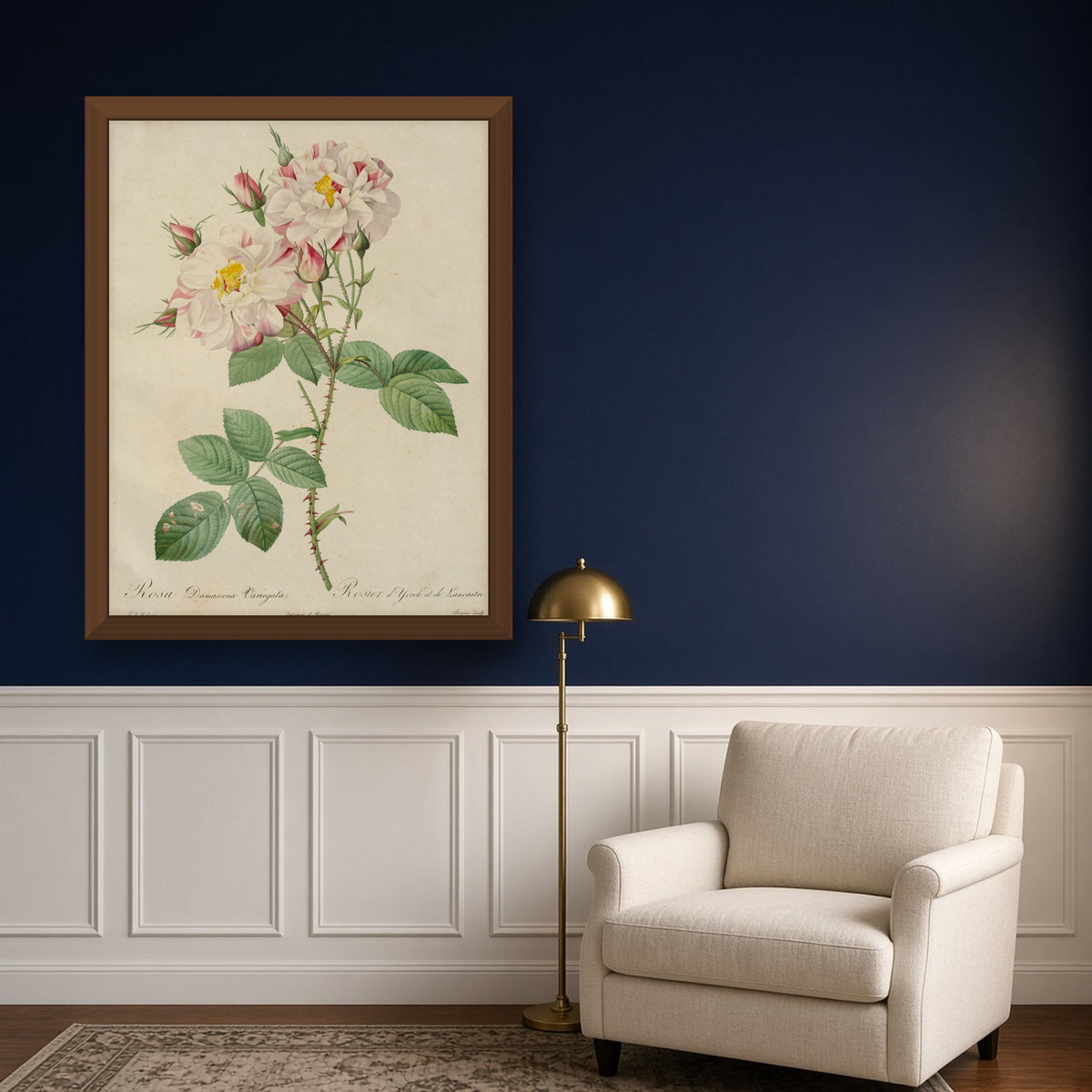 York and Lancaster Rose (Rosa Damascena Variegata), Plate 55 from Les Roses by Pierre-Joseph Redouté — framed art preview