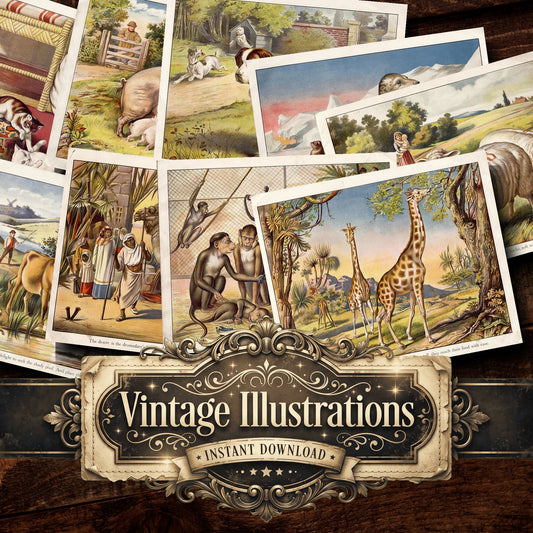 Animals Vintage Prints