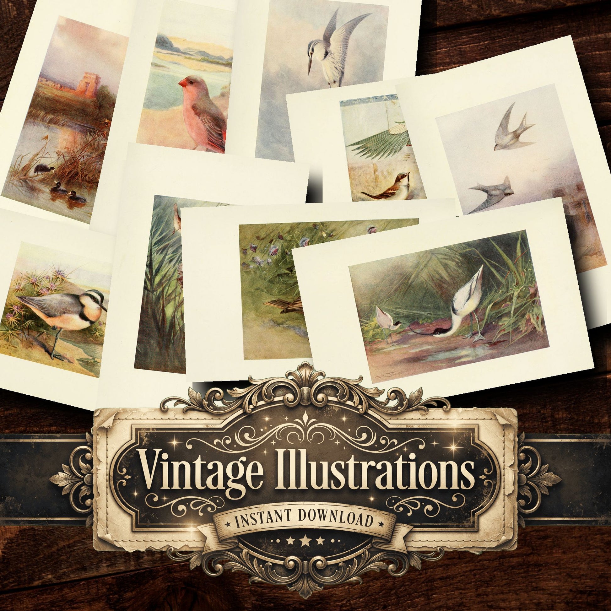 Birds Vintage Prints