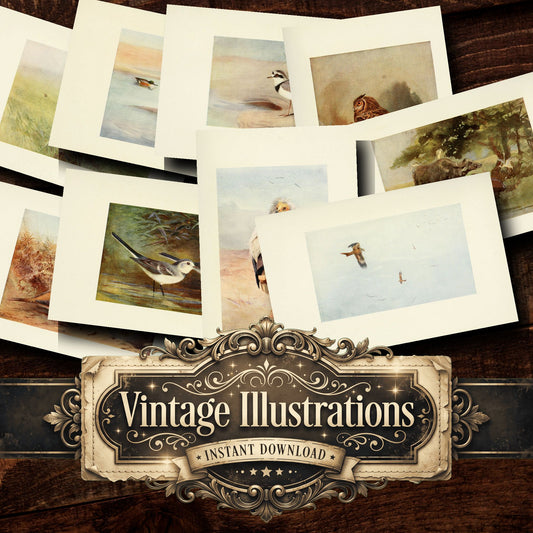 Birds Vintage Prints