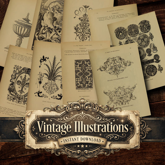 Book Katalog-Der-Ornament Vintage Prints