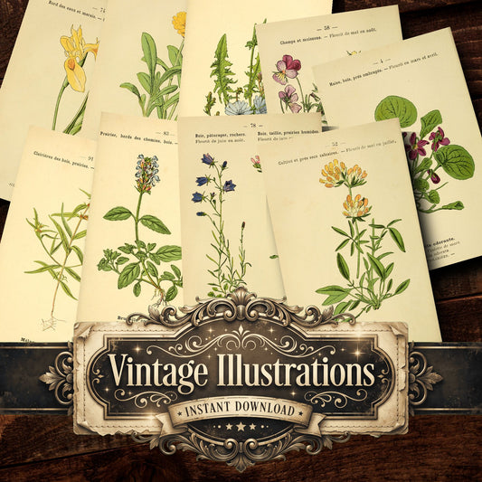 Botanical Vintage Prints