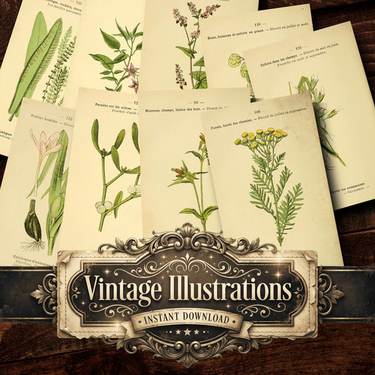 Botanical Vintage Prints