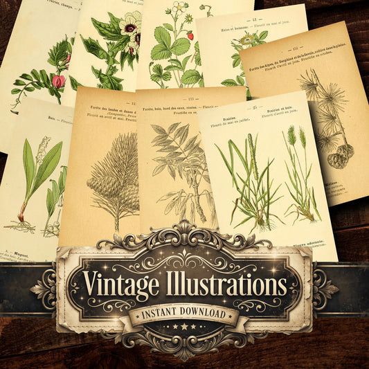 Botanical Vintage Prints