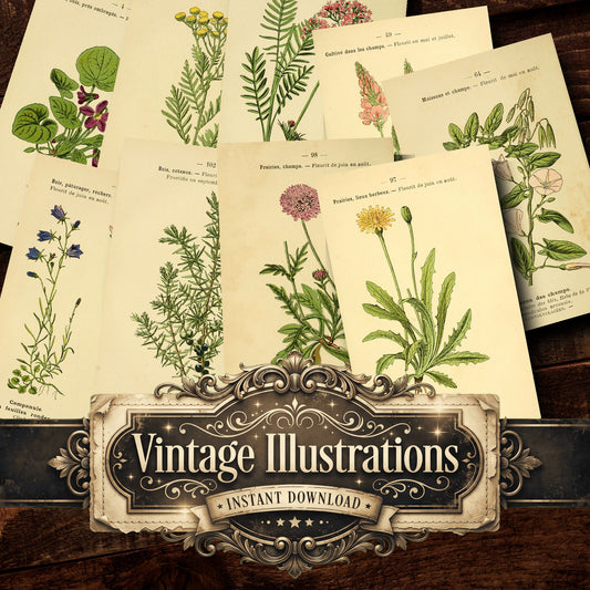 Botanical Vintage Prints