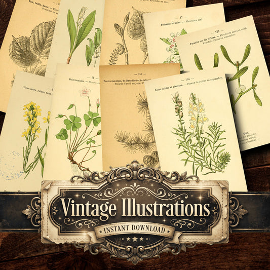 Botanical Vintage Prints