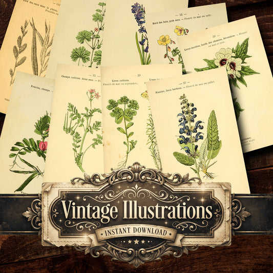 Botanical Vintage Prints