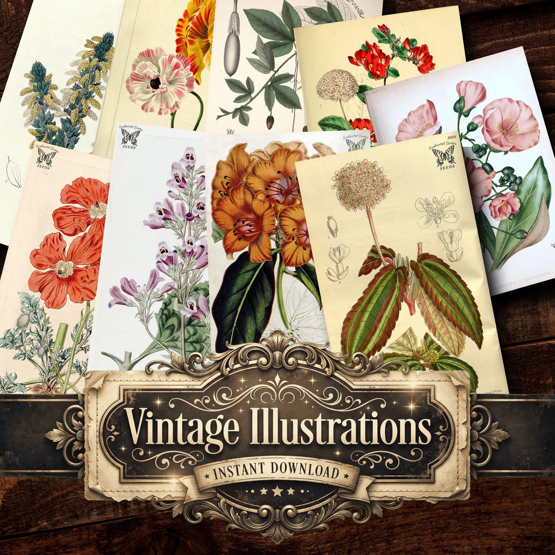 Botanical Vintage Prints