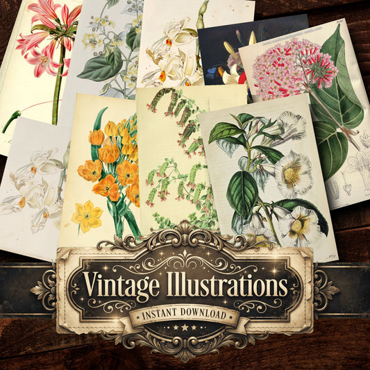 Botanical Vintage Prints