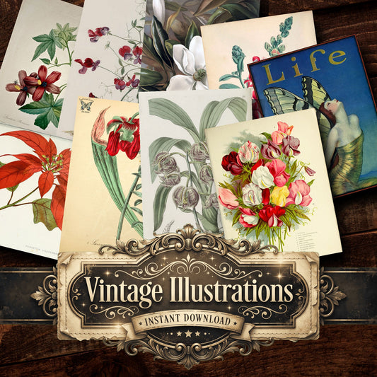 Botanical Vintage Prints