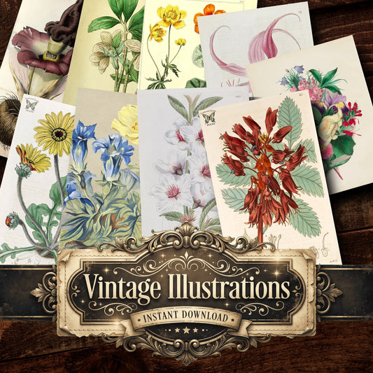 Botanical Vintage Prints