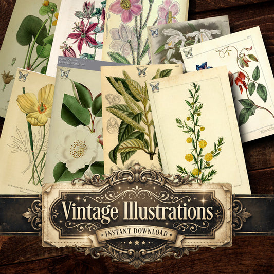 Botanical Vintage Prints