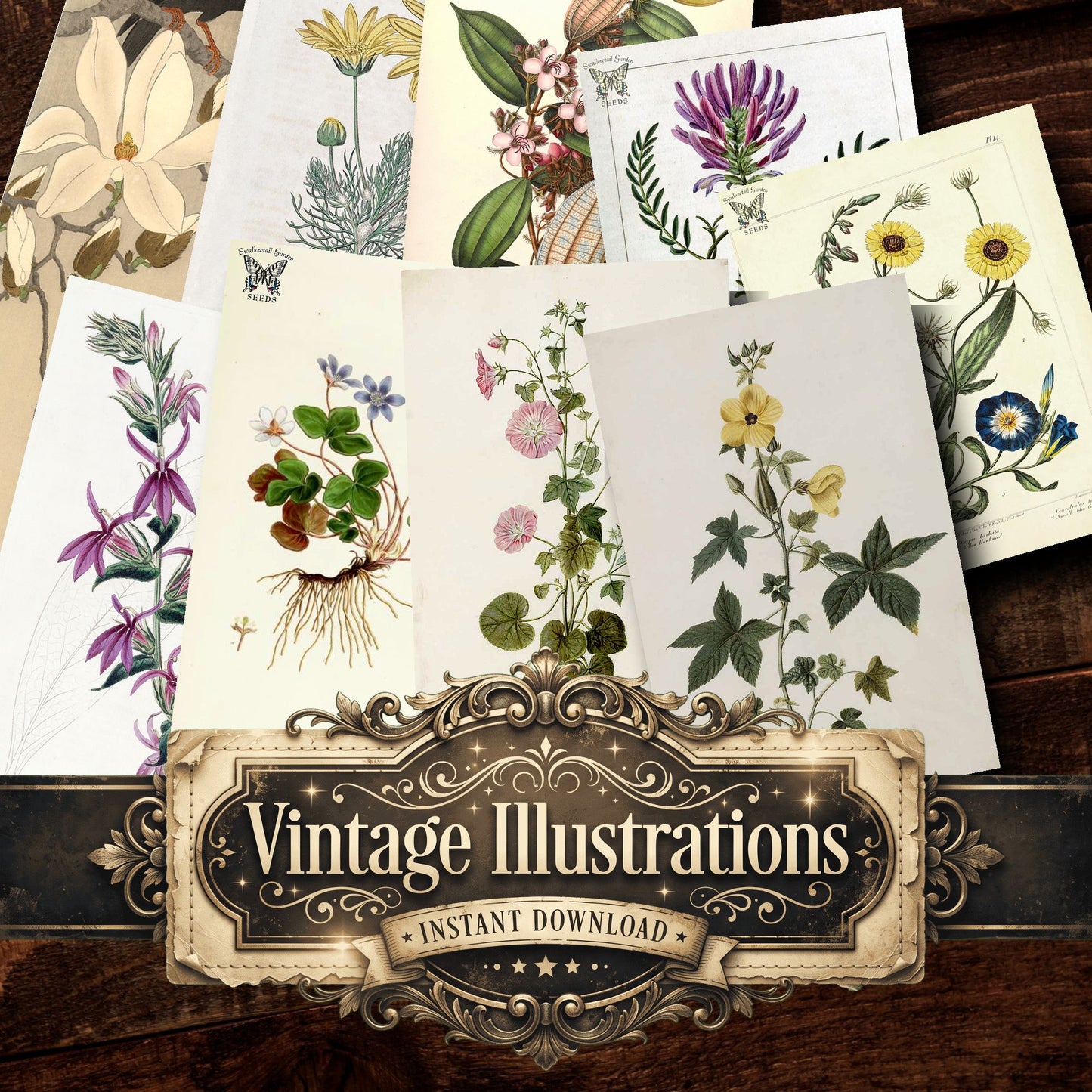 Botanical Vintage Prints