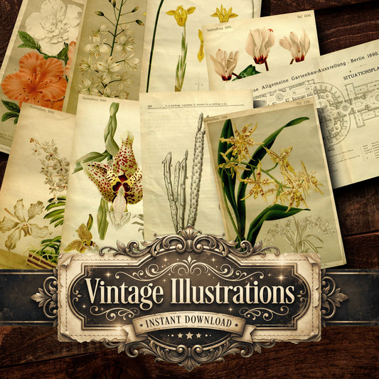Botanical Vintage Prints