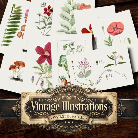 Botanical Vintage Prints