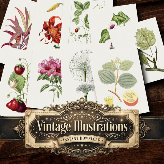 Botanical Vintage Prints