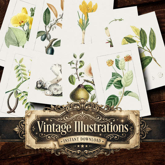 Botanical Vintage Prints