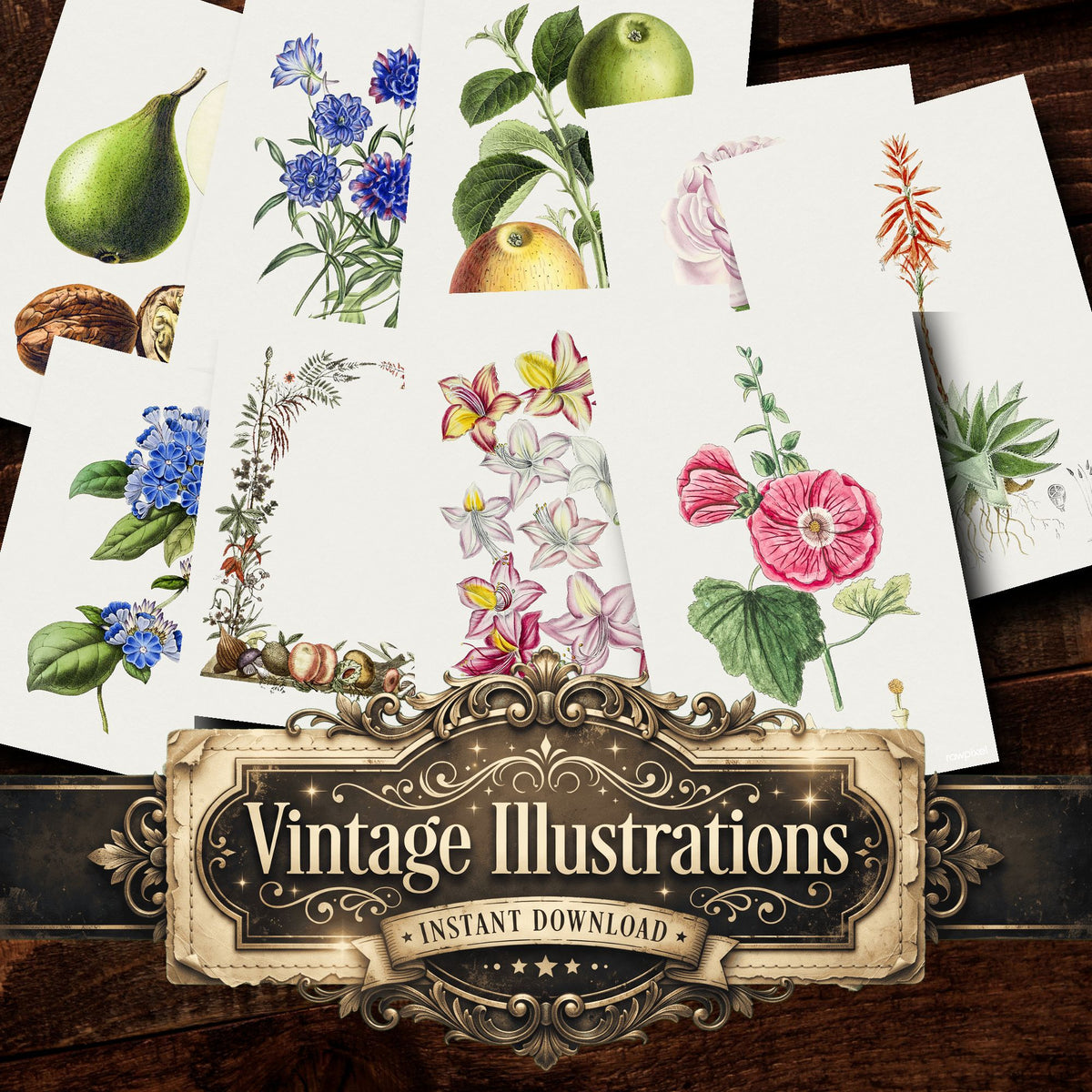 Botanical Vintage Prints