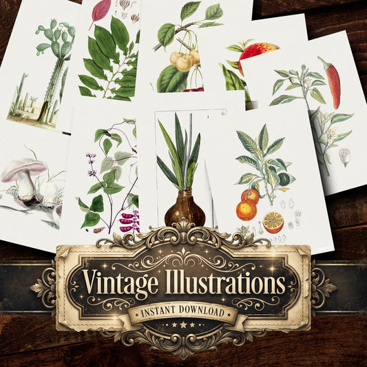Botanical Vintage Prints
