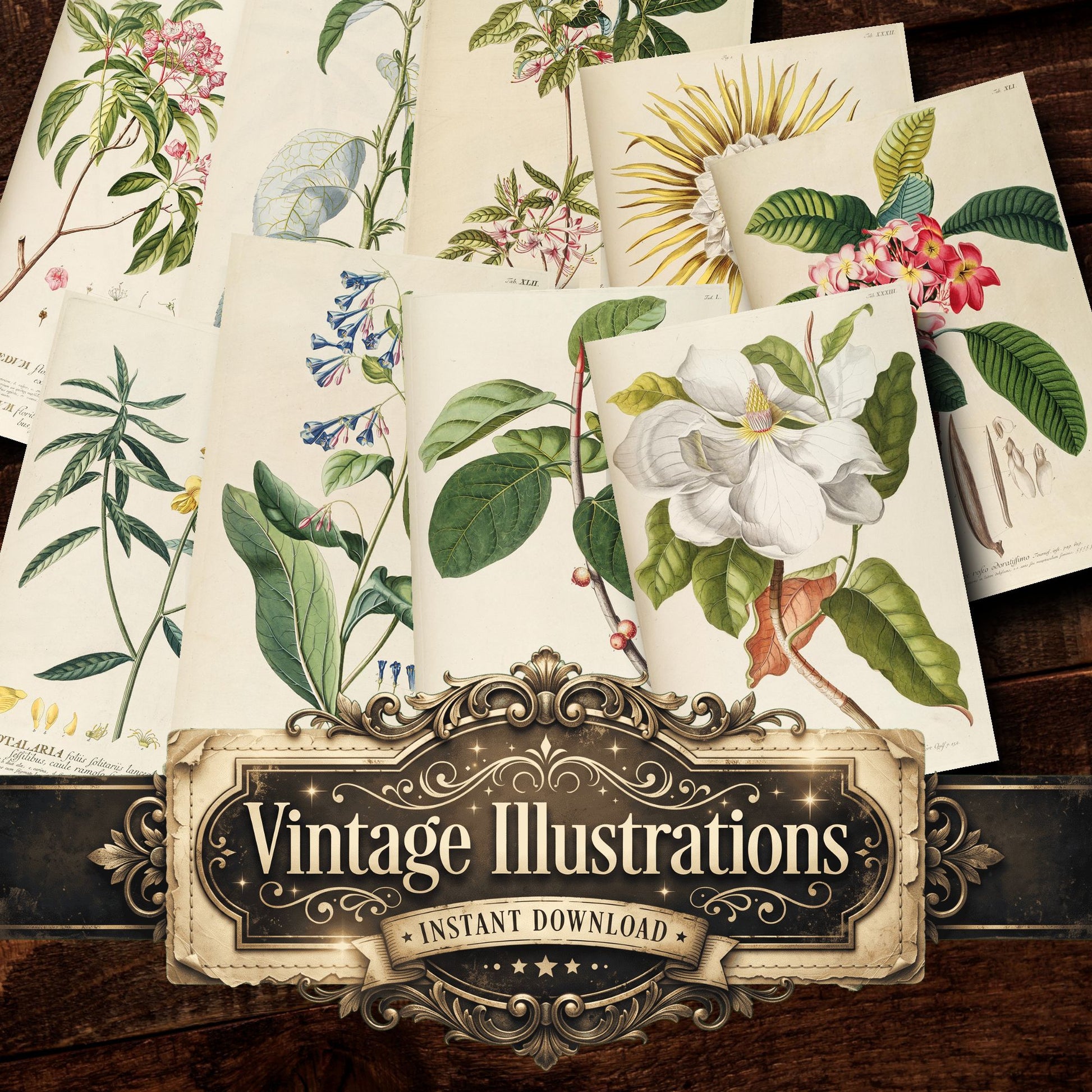 Botanical Vintage Prints