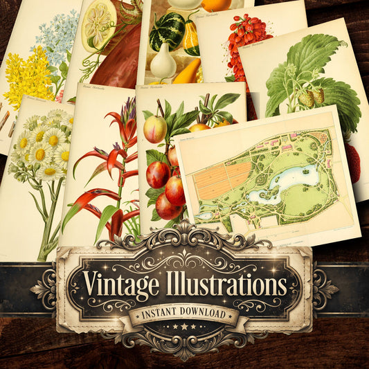 Botanical Vintage Prints