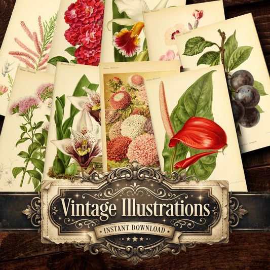 Botanical Vintage Prints