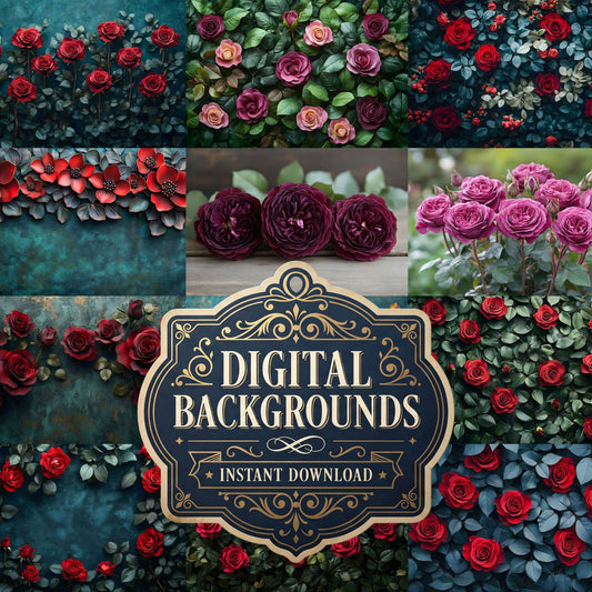 Burgundy Rose Arrangement Backdrop Images