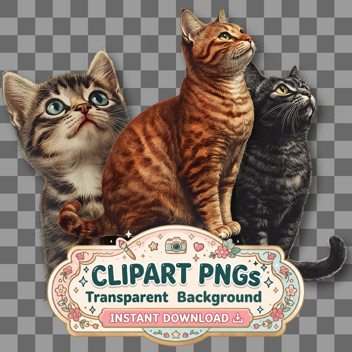 Cat Vintage Style Clipart Pngs