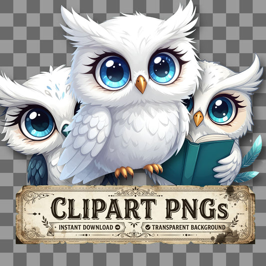 Chibi White Owl kawaii clipart with transparent background, digital download cover