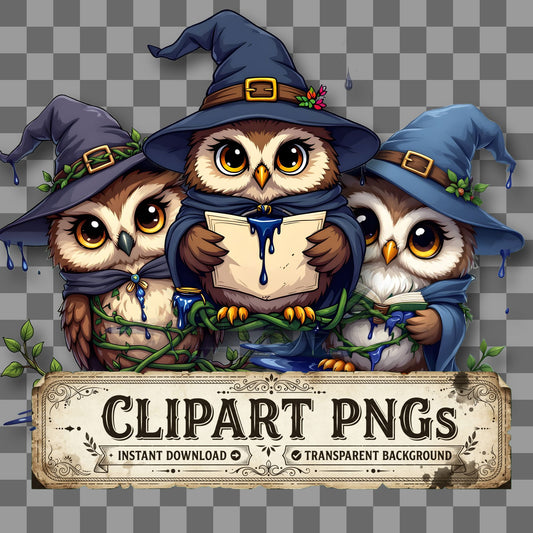 Chibi Wizard Owl Clipart Pngs