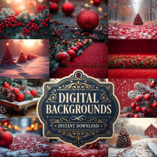 Christmas Outdoor Scene Backdrop Images