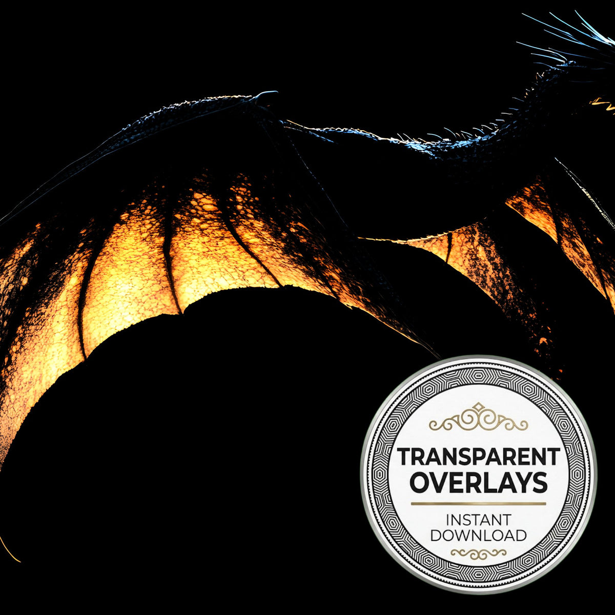 Dragon Silhouette Transparent Overlay Pngs