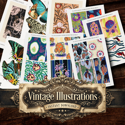E A Seguy Vintage Prints
