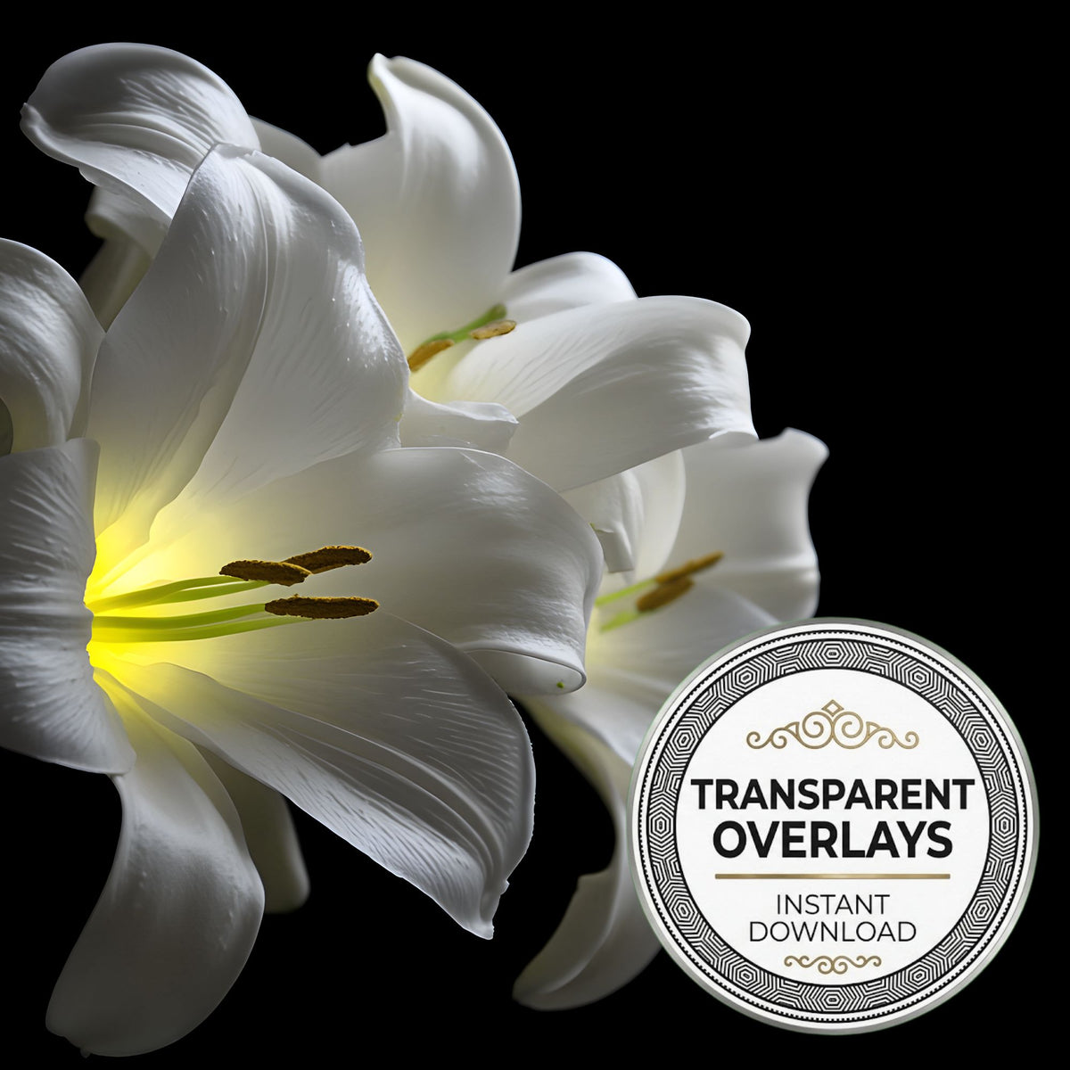 Easter Lilies Transparent Overlay Pngs