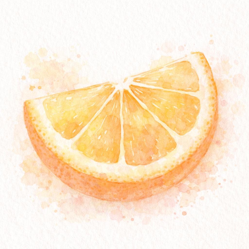 Procreate Watercolor Brushes, Textures, Stamps Bundle (iPad)